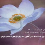 دانلود آهنگ داره محل ما شیر از هیپ هاپولوژیست دانلود آهنگ داره محل ما شیر از هیپ هاپولوژیست